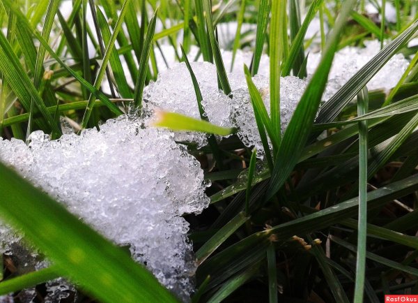 Ледяная крупа