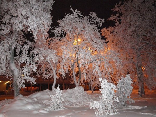 Снежный вечер зимняя природа