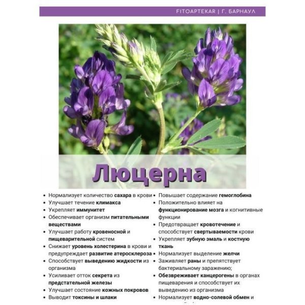 Сок люцерны