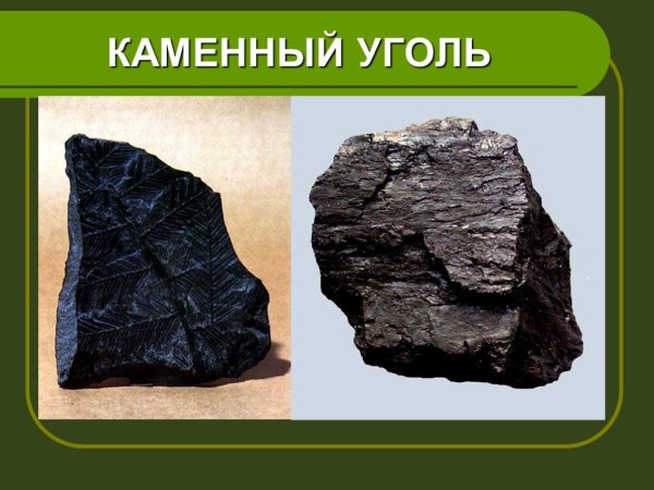 Полезные ископаемые уголь