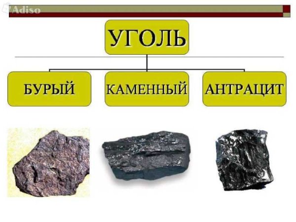 Виды угля