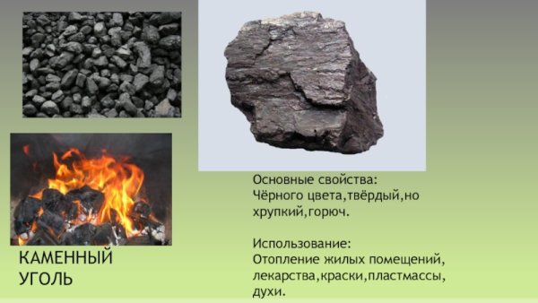 Горючие полезные ископаемые каменный уголь