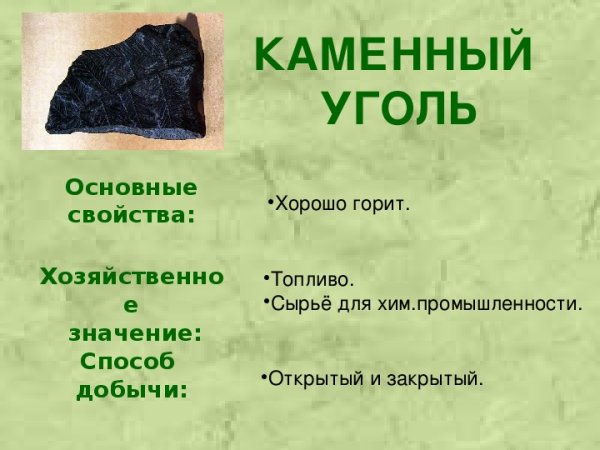 Структура каменного угля