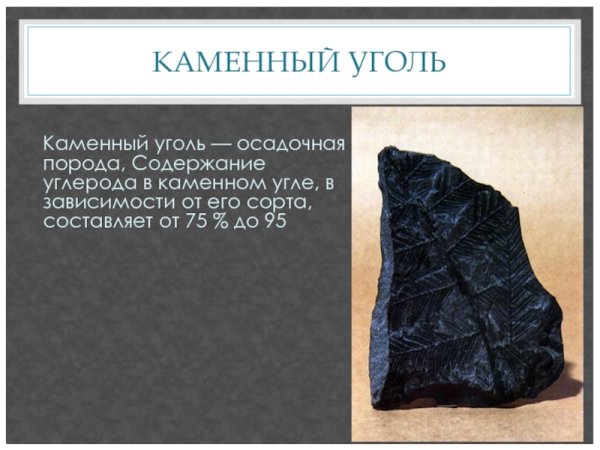 Сведения о Каменном угле