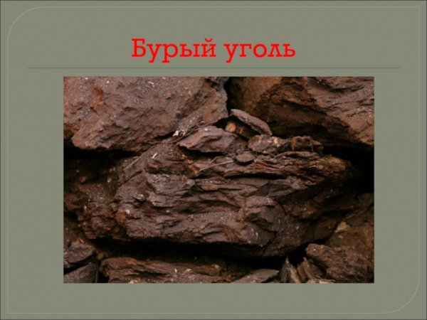Бурый уголь лигнит