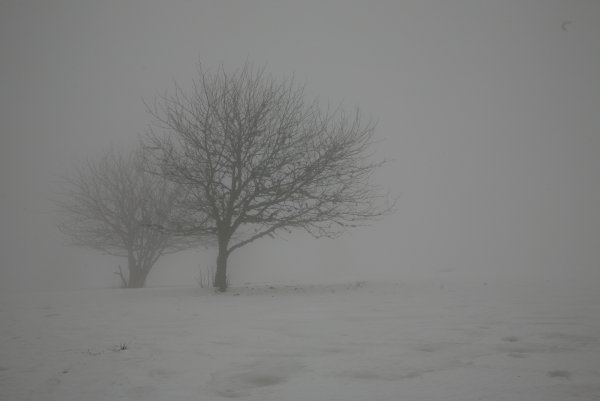 Снежная мгла