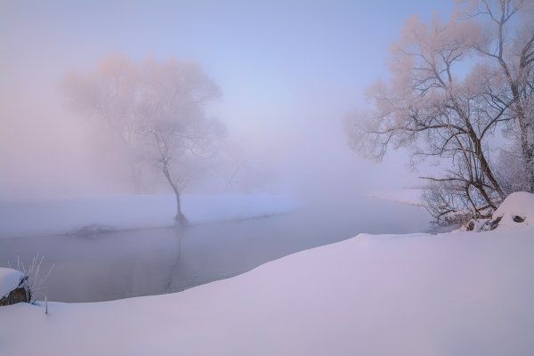 Снежный туман