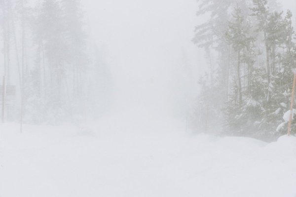 Зимняя мгла