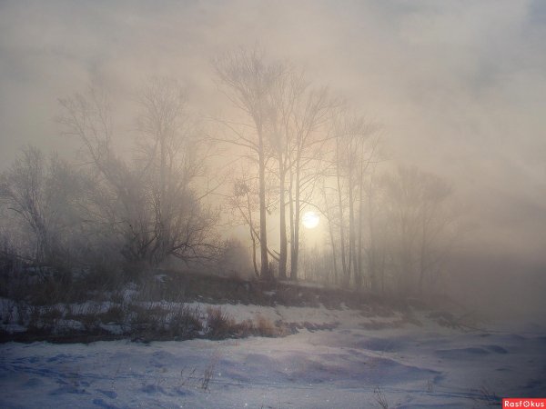 Морозная мгла