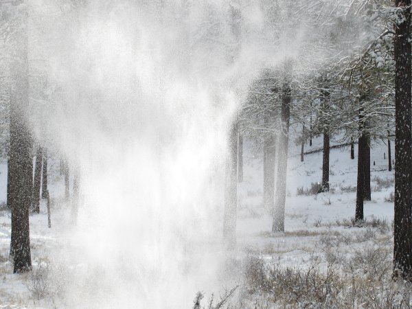 Снежный туман