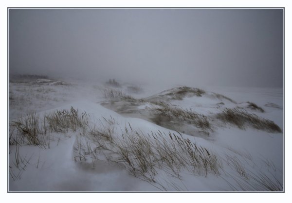 Снежный Вихрь