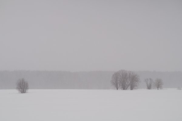 Снежная мгла