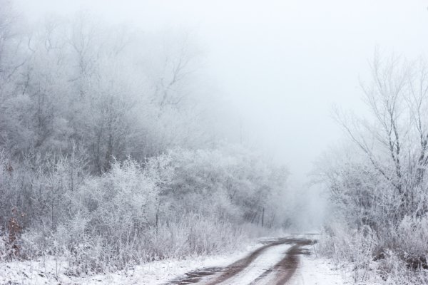 Снежная буря