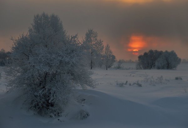 Хмурое зимнее утро