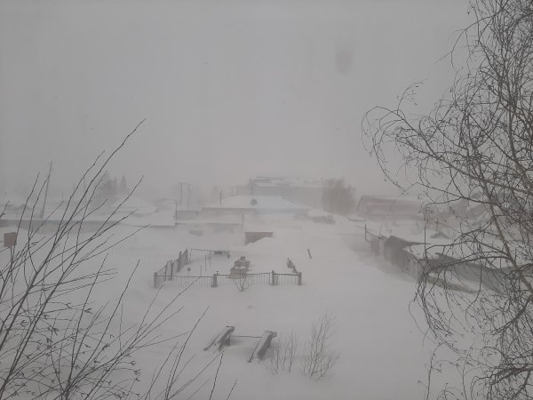 Снежная мгла