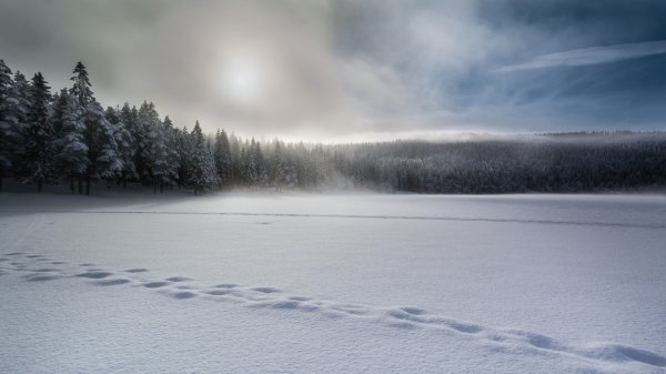Зимнее озеро туман