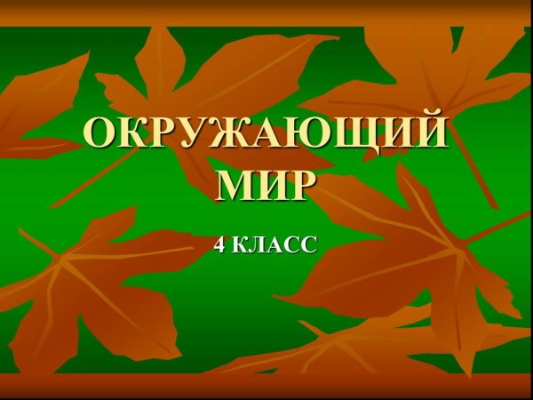 Надписмьокружающий мир
