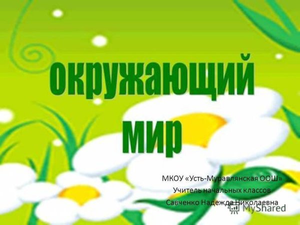 Надписмьокружающий мир