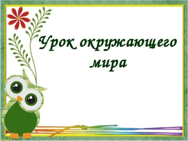 Урок окружающегоммира