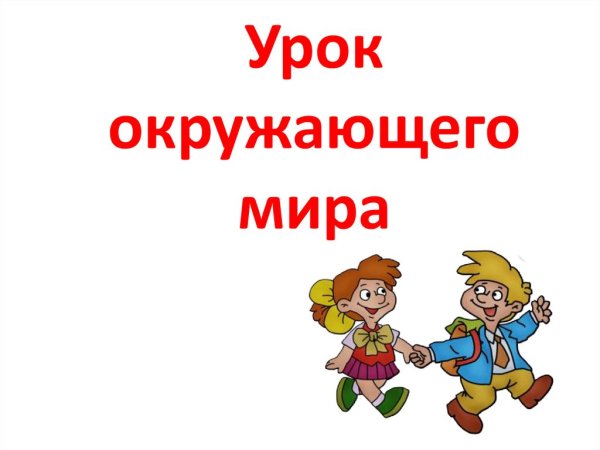 Урок окружающий мир