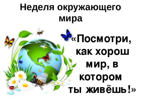 Неделя окружающего мира в начальной школе