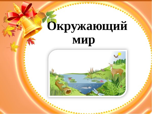 Титульный лист проекта по окружающему миру