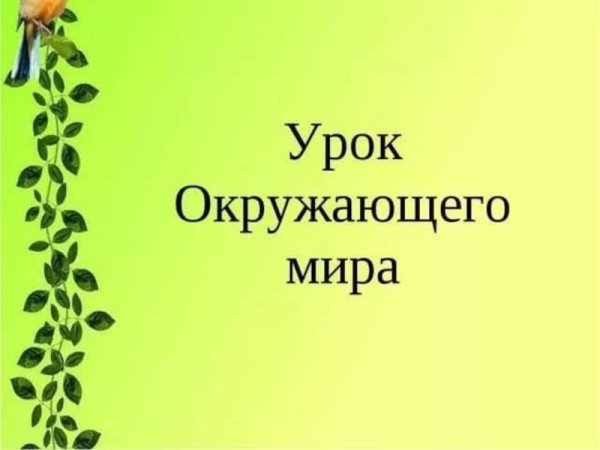 Урок окружающего мира
