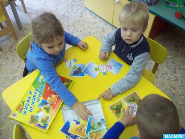 Ознакомление с окружающим миром в детском саду