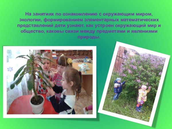 Ознакомление детей с окружающим миром