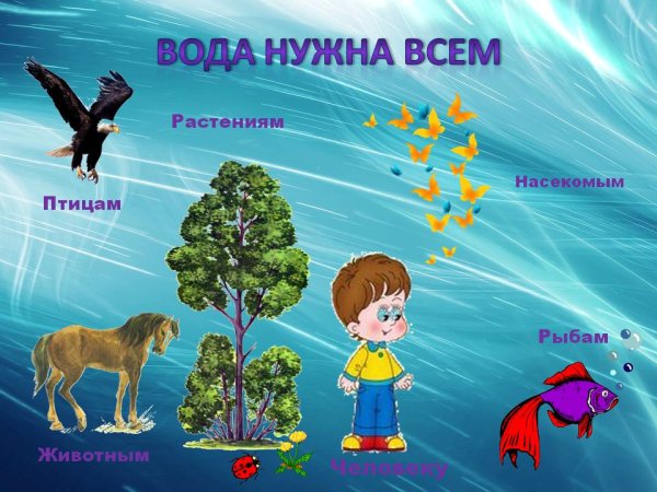 Волшебница вода для дошкольников