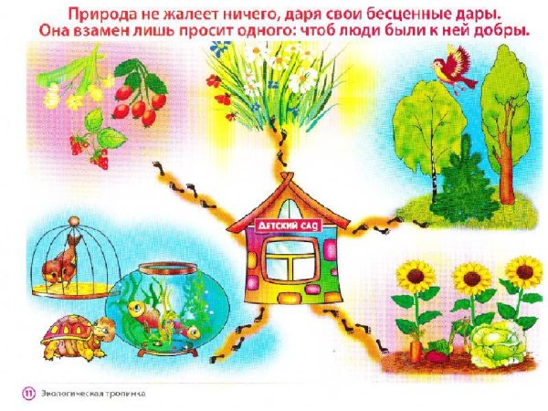 Экология для дошкольников