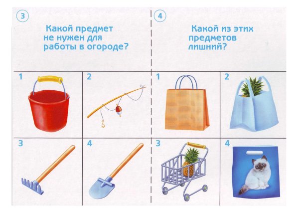 Окружающий мир предметы для дошкольников