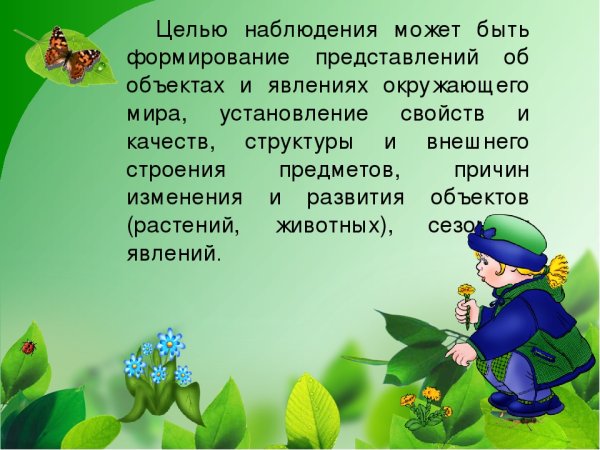 Окружающий мир для дошкольников