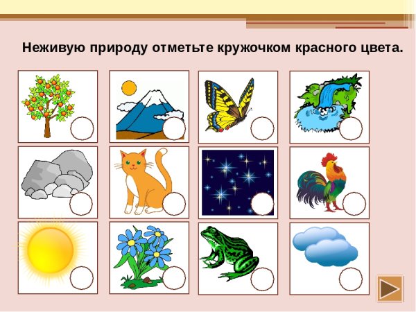 Карточки Живая и неживая природа