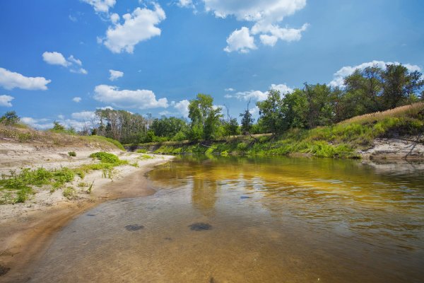 Река Бузулук Волгоградская область