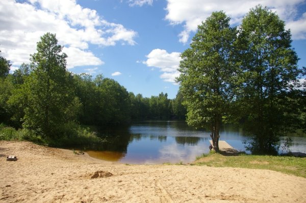 Лесное озеро Ступино