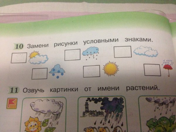 Обозначение по окружающему миру