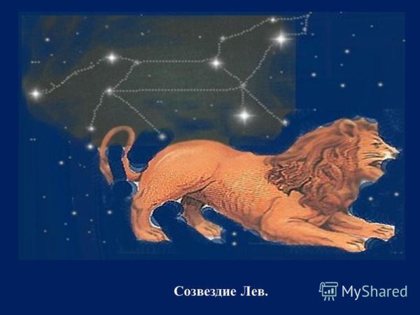 Зодиакальное Созвездие Лев
