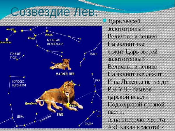 Сообщение о созвездии Льва