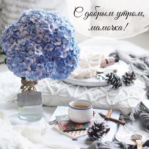 С добрым зимнем утром мамв