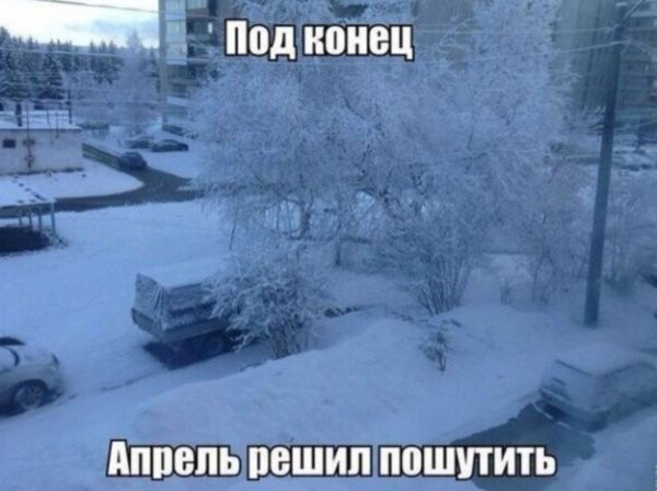 Снег в апреле приколы