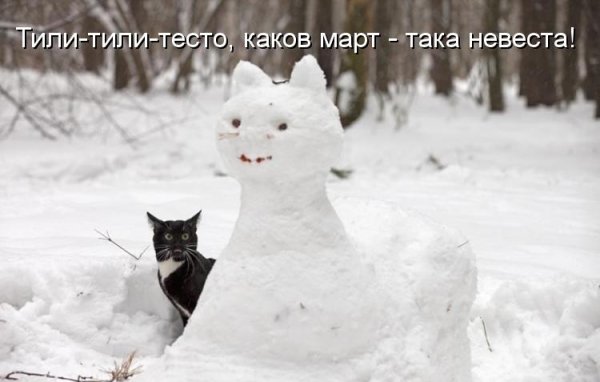 Приколы про снег