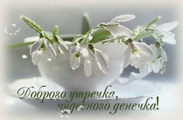Доброемутро с подснежниками