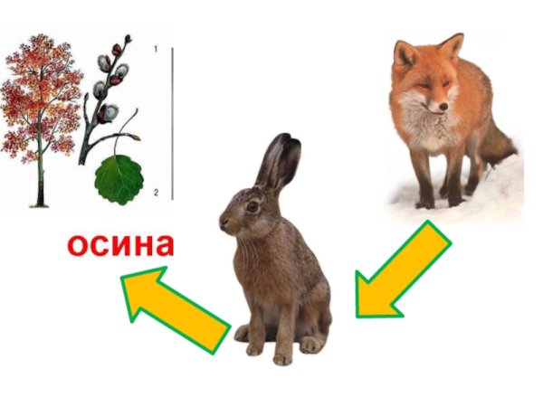 Невидимые нити окружающий мир