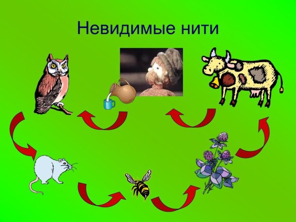 Невидимая нить