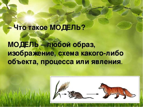 Невидимые нити 2 класс окружающий мир