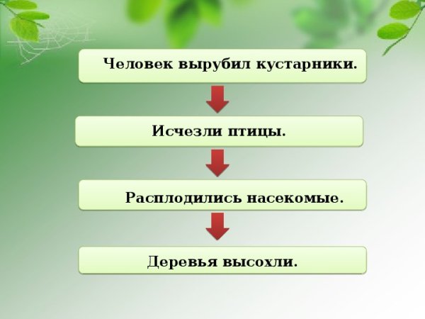 Невидимые нити окружающий мир