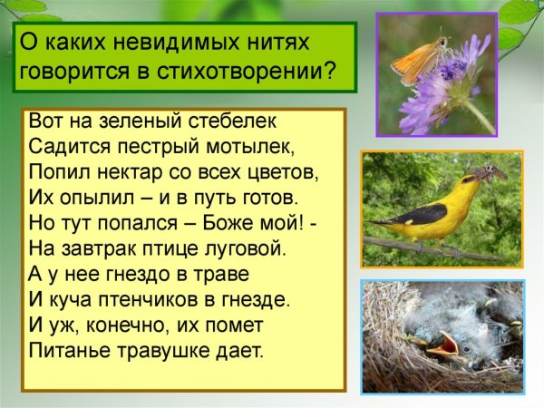 Невидимые нити 2 класс