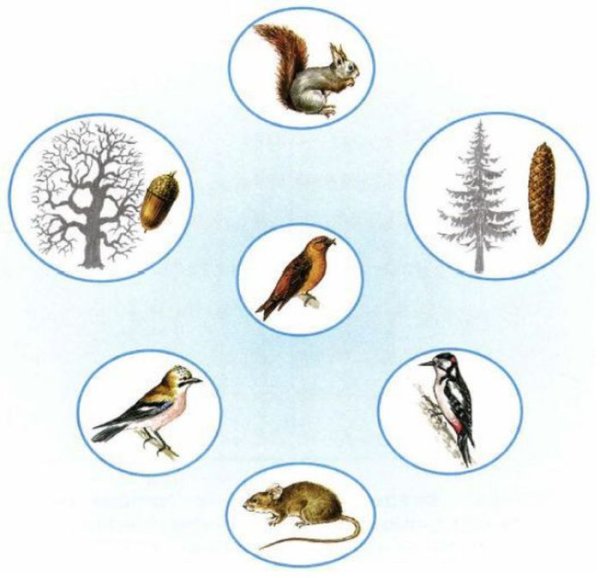 Невидимые нити в зимнем лесу