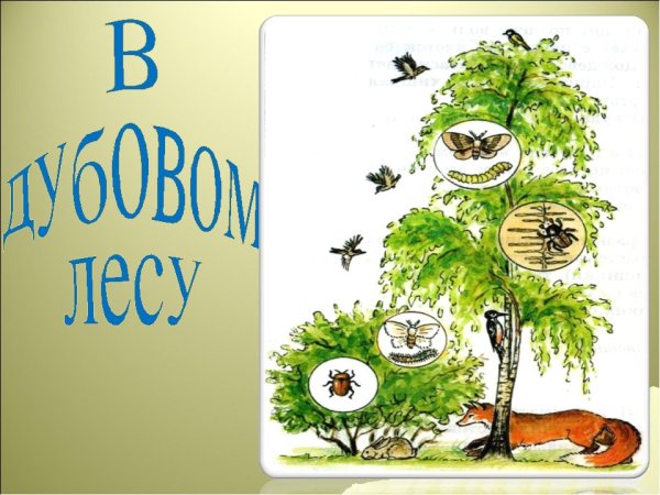 Невидимые нити окружающий мир